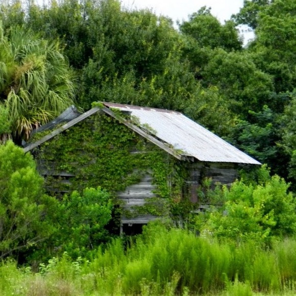 Meet your Posher, Lisa - Picture 1 of 1